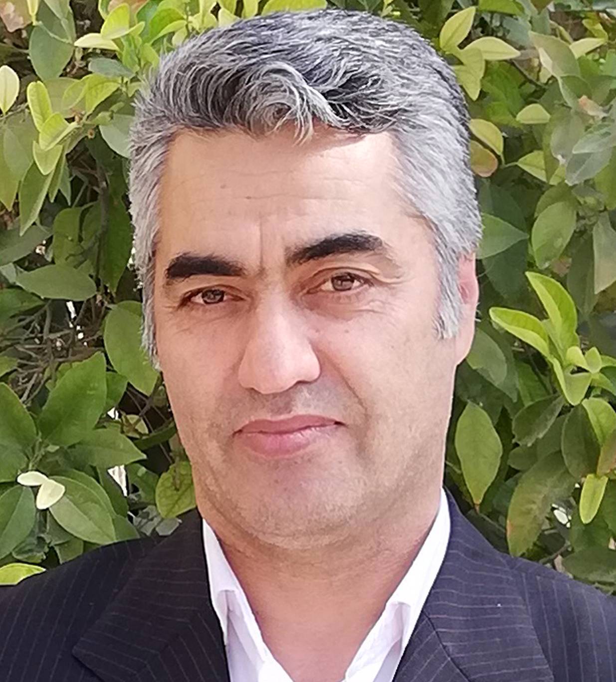 دکتر احمد یحیایی ایله ای